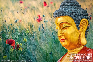 file tranh file goc in tranh phat giao 400