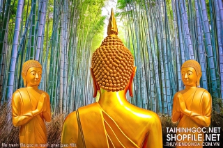 file tranh file goc in tranh phat giao 401