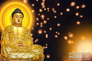 file tranh file goc in tranh phat giao 402