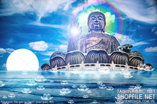 file tranh file goc in tranh phat giao 405