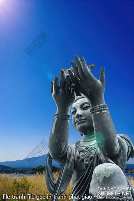 file tranh file goc in tranh phat giao 407