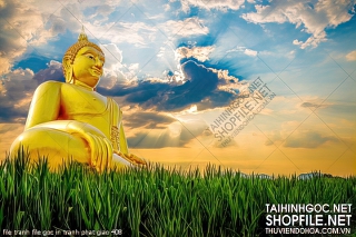 file tranh file goc in tranh phat giao 408