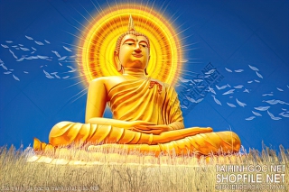 file tranh file goc in tranh phat giao 409