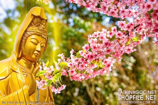 file tranh file goc in tranh phat giao 414