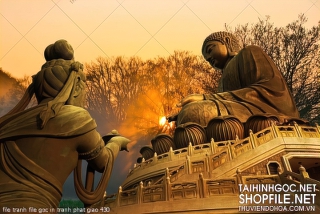 file tranh file goc in tranh phat giao 430