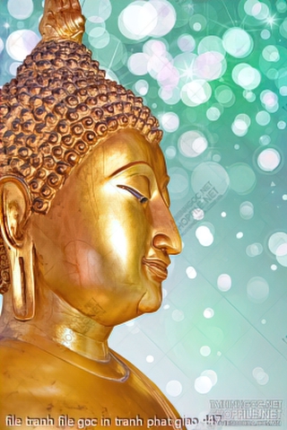 file tranh file goc in tranh phat giao 447