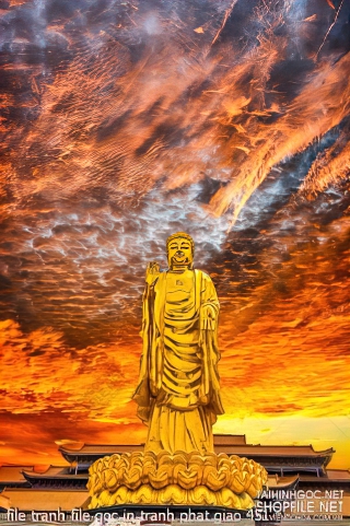 file tranh file goc in tranh phat giao 451