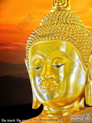 file tranh file goc in tranh phat giao 452