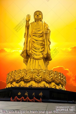 file tranh file goc in tranh phat giao 453