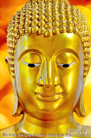 file tranh file goc in tranh phat giao 456