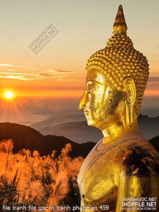 file tranh file goc in tranh phat giao 459