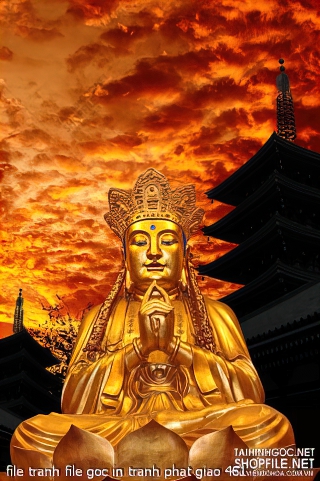 file tranh file goc in tranh phat giao 461