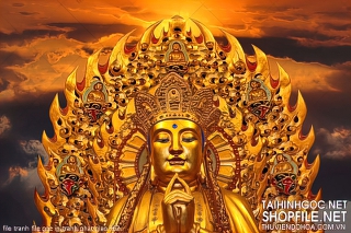 file tranh file goc in tranh phat giao 462