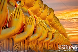 file tranh file goc in tranh phat giao 464