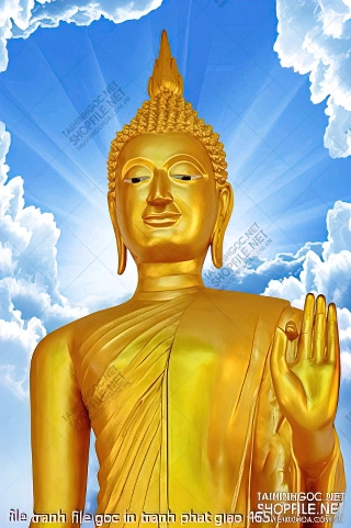 file tranh file goc in tranh phat giao 465