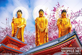 file tranh file goc in tranh phat giao canvas 002