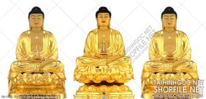 file tranh file goc in tranh phat giao canvas 171