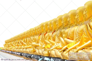 file tranh file goc in tranh phat giao canvas 302