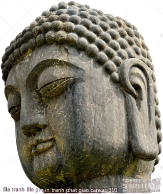 file tranh file goc in tranh phat giao canvas 310