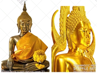 file tranh file goc in tranh phat giao canvas 325