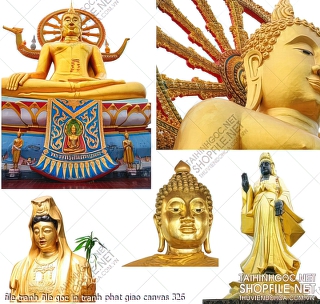 file tranh file goc in tranh phat giao canvas 326