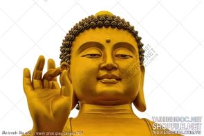 file tranh file goc in tranh phat giao canvas 369