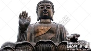 file tranh file goc in tranh phat giao canvas 393