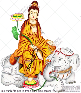 file tranh file goc in tranh phat giao canvas 462