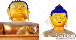 file tranh file goc in tranh phat giao canvas 504