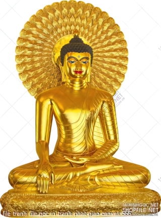 file tranh file goc in tranh phat giao canvas 566