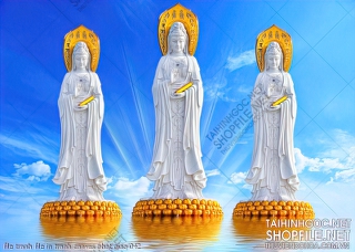 file tranh file in tranh canvas phat giao 042