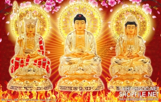 file tranh file in tranh canvas phat giao 210