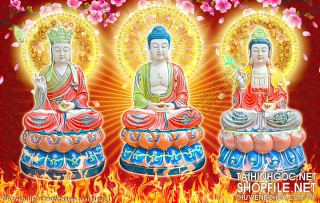 file tranh file in tranh canvas phat giao 211