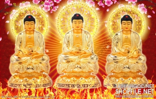 file tranh file in tranh canvas phat giao 212