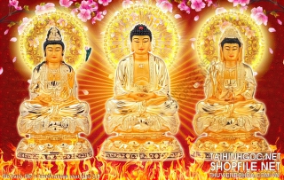 file tranh file in tranh canvas phat giao 213