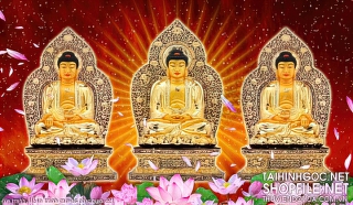 file tranh file in tranh canvas phat giao 221