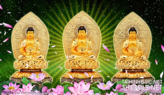 file tranh file in tranh canvas phat giao 222