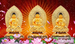 file tranh file in tranh canvas phat giao 223