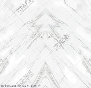 file tranh gach van den 29112022 vy