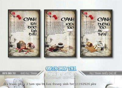file tranh ghep 3 tam spa tri lieu duong sinh toc 11102024 phu