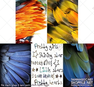 file tranh ghep 5 tam canh chim nghe thuat