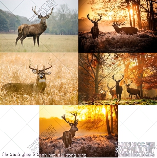 file tranh ghep 5 tranh huoi nai trong rung