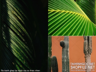 file tranh ghep ba tranh cay co thien nhien
