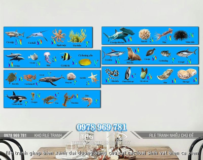 file tranh ghep bien xanh dai duong bang chu cai cac loai sinh vat bien ca bien