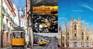 file tranh ghep nam tranh vang ong muon mau