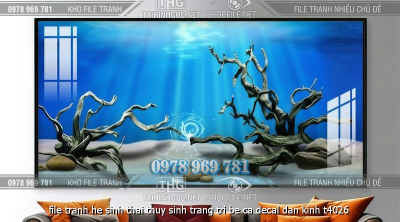 file tranh he sinh thai thuy sinh trang tri be ca decal dan kinh t4026