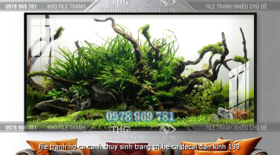 file tranh ho ca canh thuy sinh trang tri be ca decal dan kinh 139