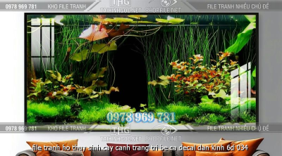 file tranh ho thuy sinh cay canh trang tri be ca decal dan kinh 6d 034