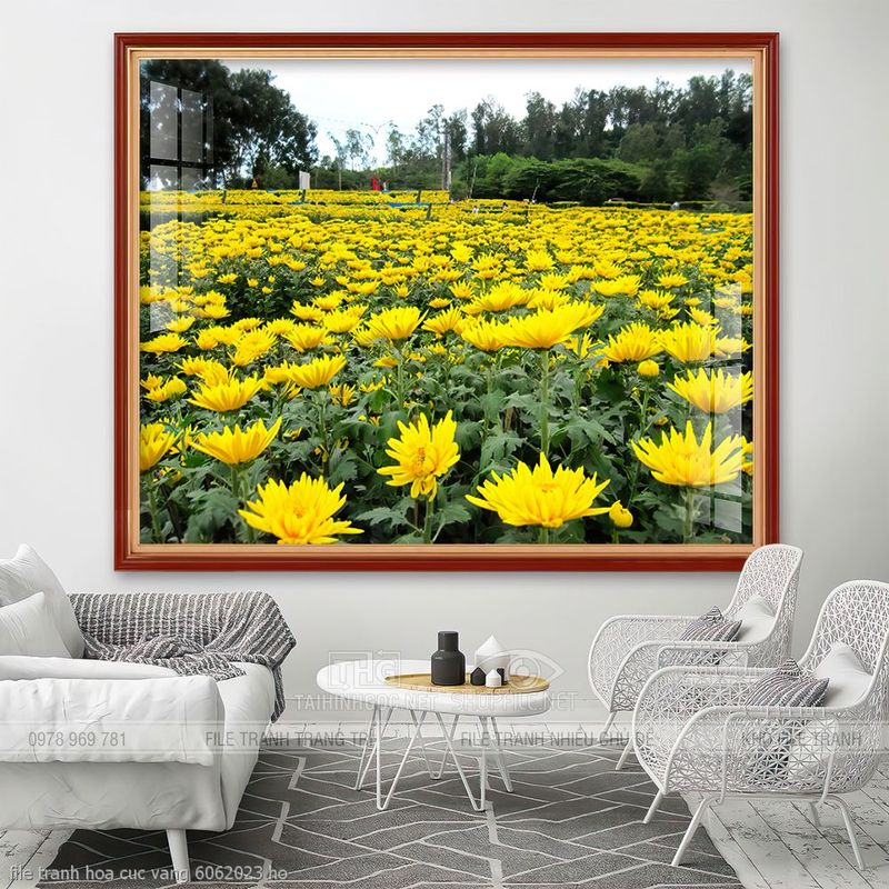 file tranh hoa cuc vang 6062023 ho