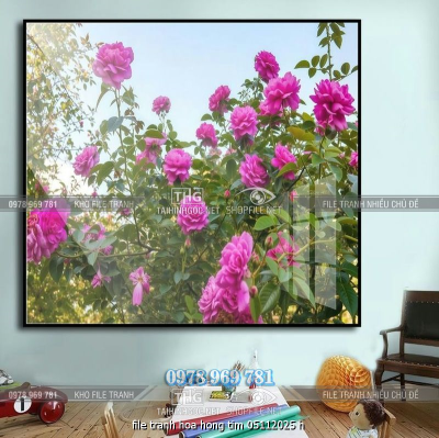 file tranh hoa hong tim 05112025 h